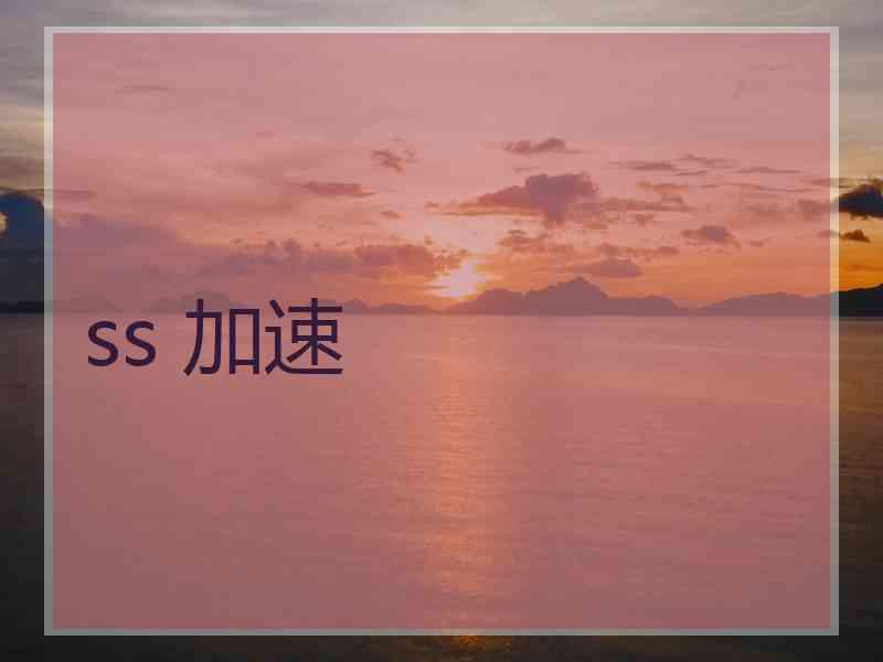 ss 加速