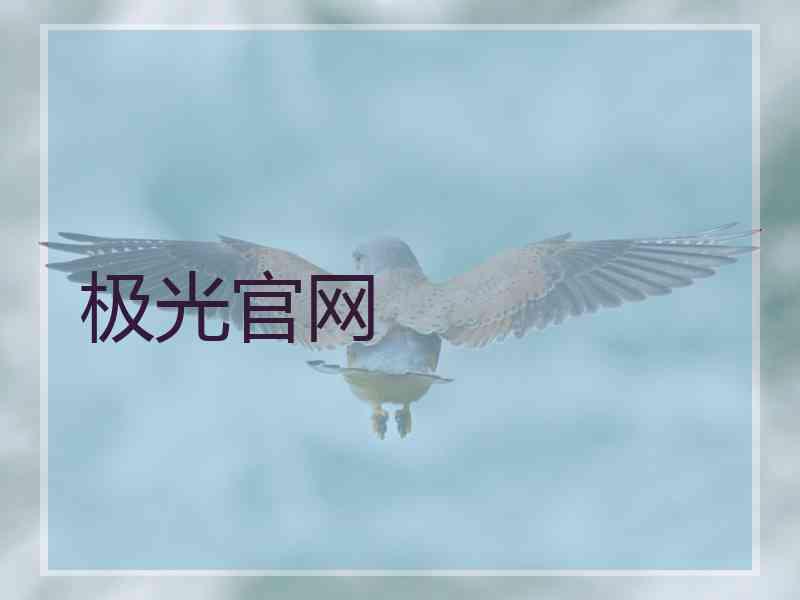 极光官网