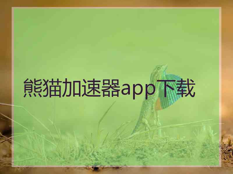 熊猫加速器app下载