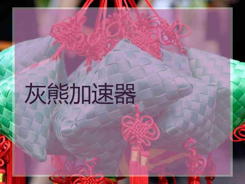 灰熊加速器
