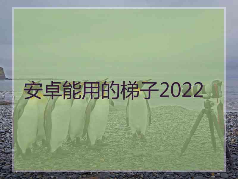 安卓能用的梯子2022