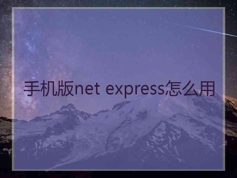 手机版net express怎么用