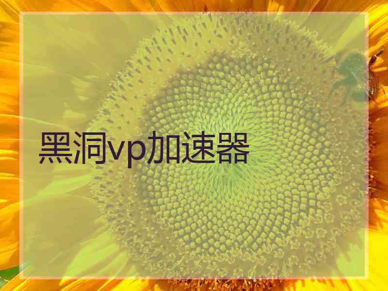 黑洞vp加速器