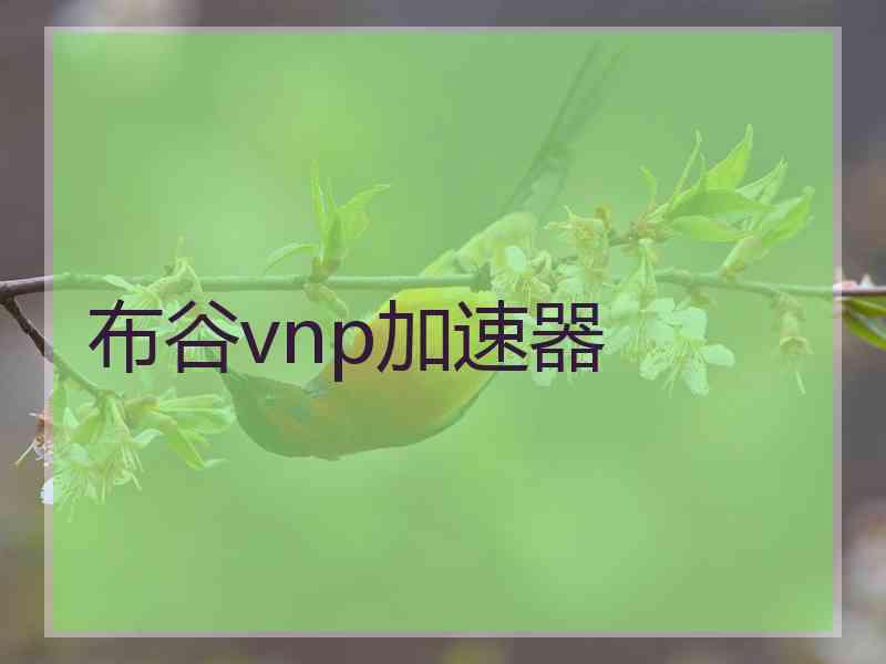 布谷vnp加速器