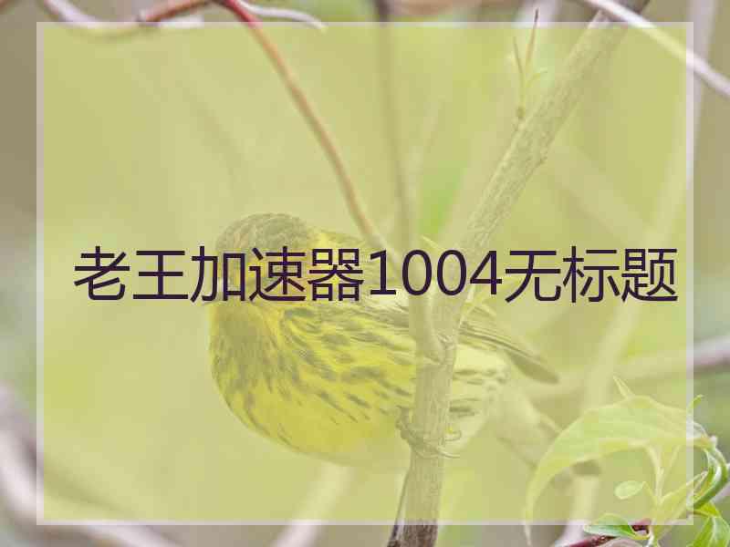 老王加速器1004无标题