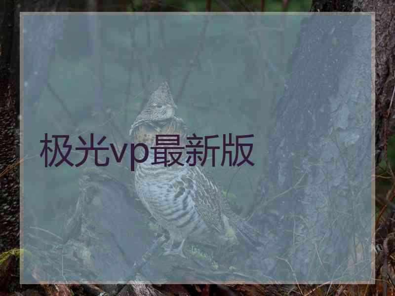 极光vp最新版