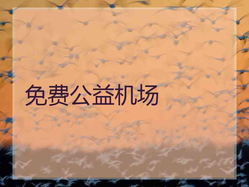 免费公益机场