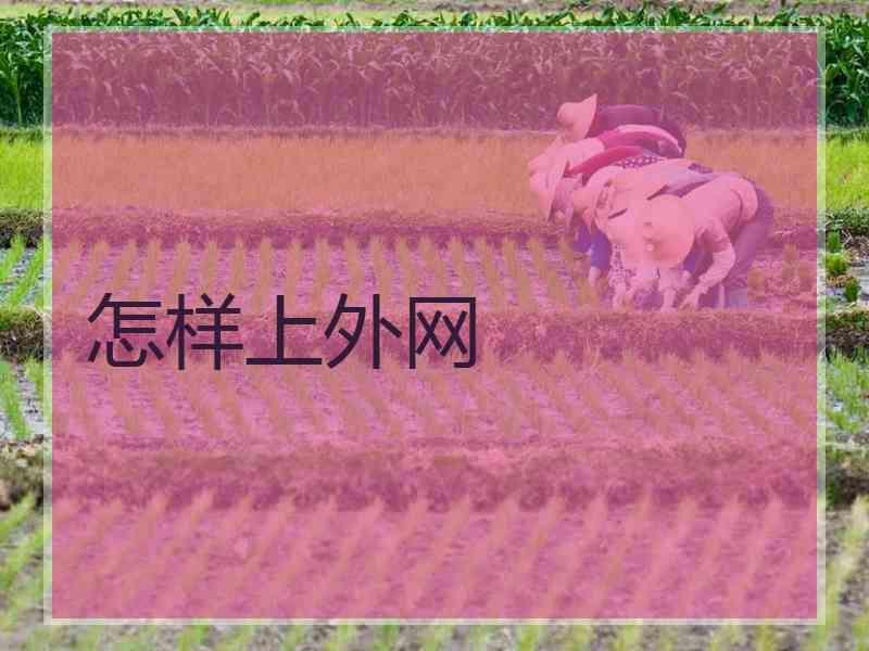 怎样上外网