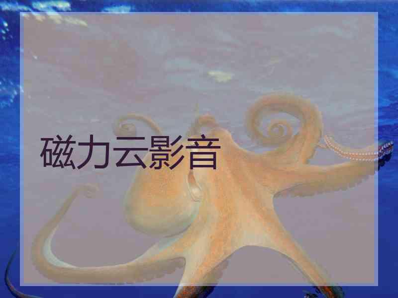 磁力云影音