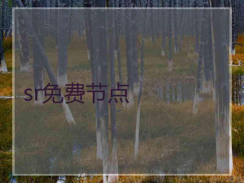 sr免费节点