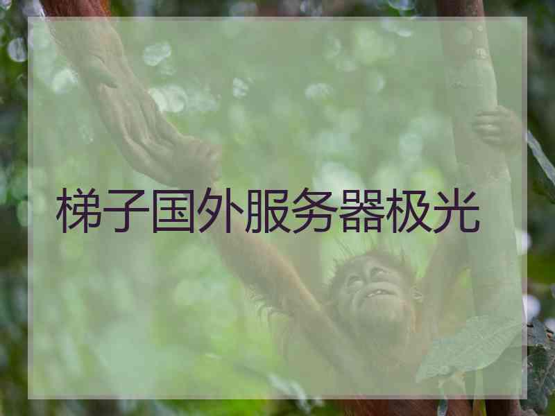 梯子国外服务器极光