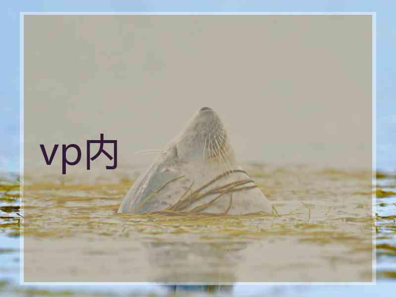 vp内