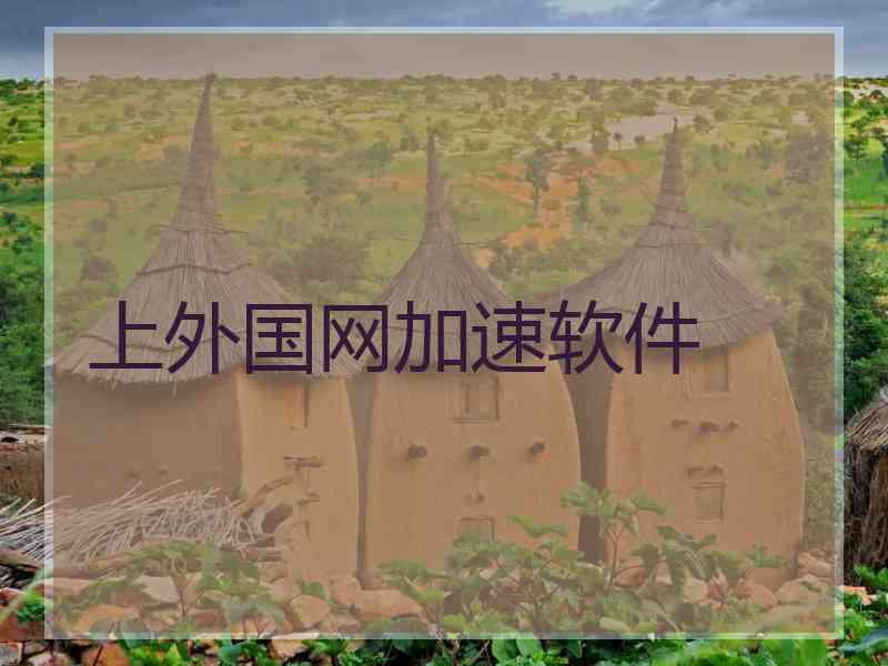 上外国网加速软件