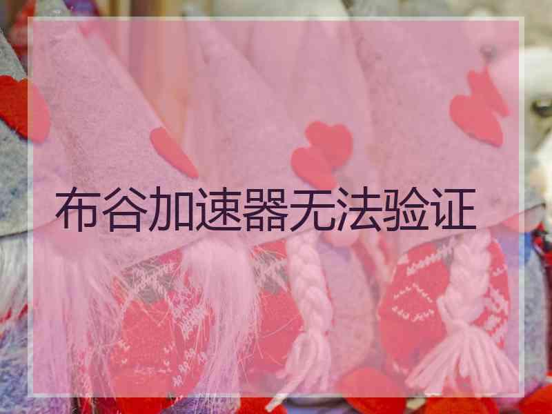 布谷加速器无法验证