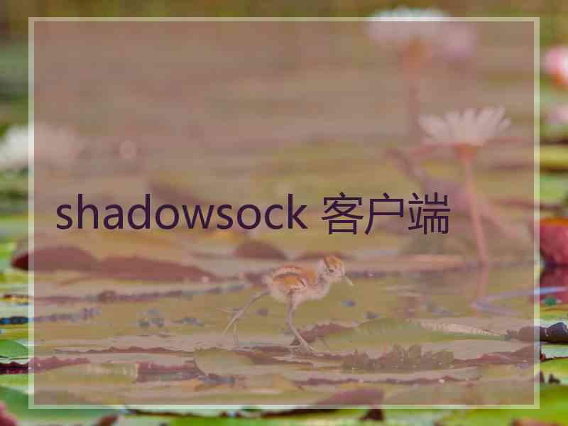 shadowsock 客户端