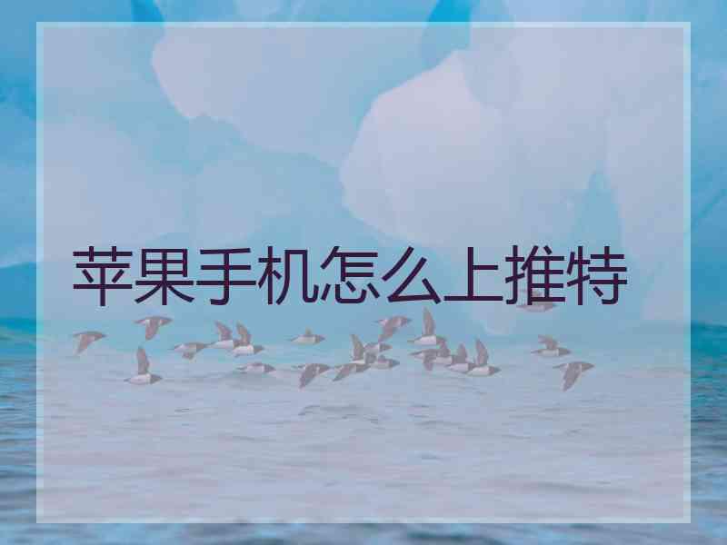 苹果手机怎么上推特