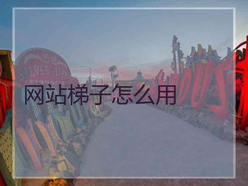 网站梯子怎么用