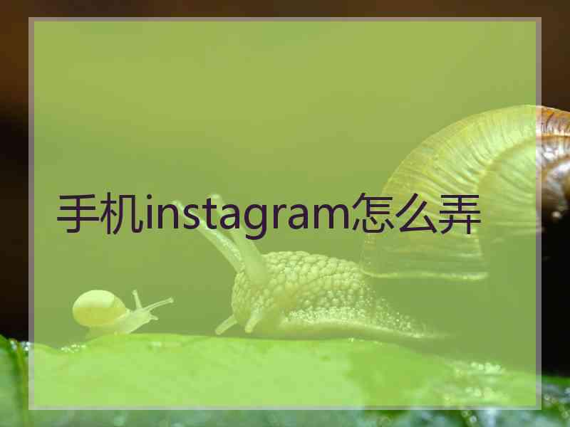 手机instagram怎么弄