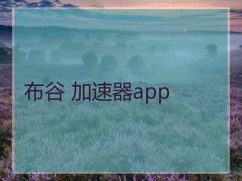 布谷 加速器app