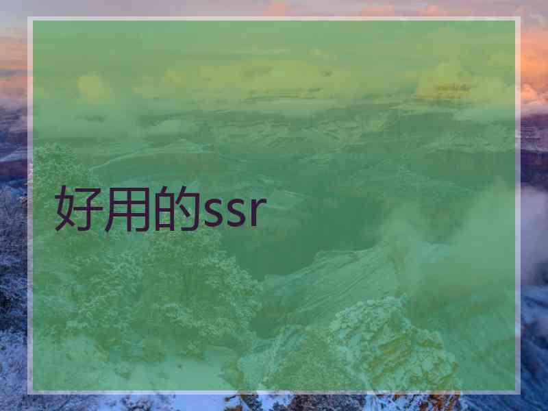 好用的ssr