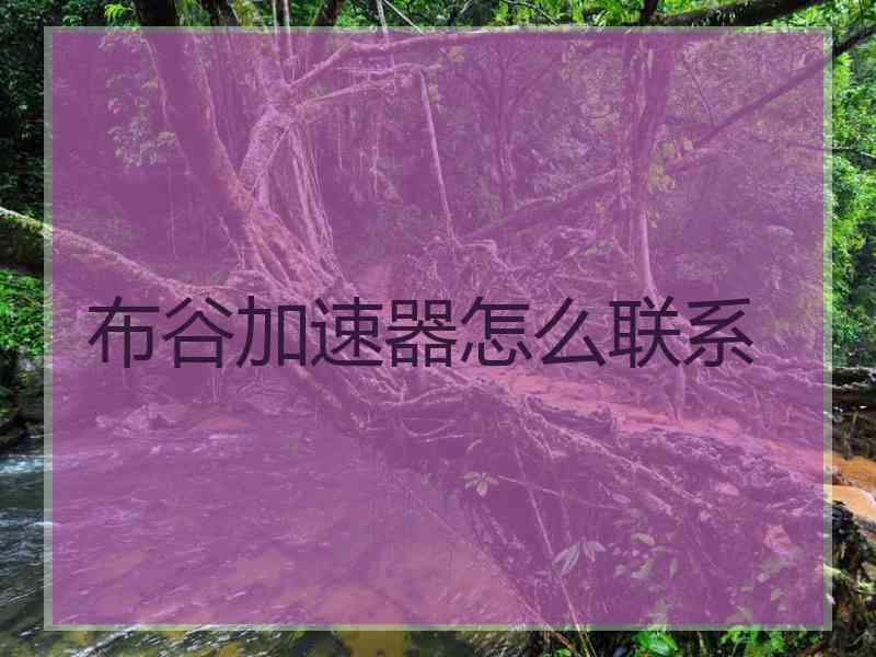 布谷加速器怎么联系