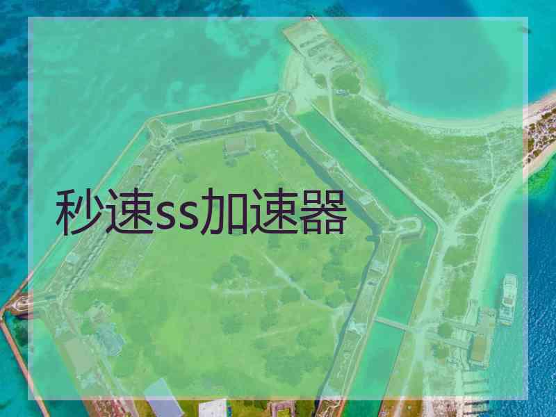 秒速ss加速器