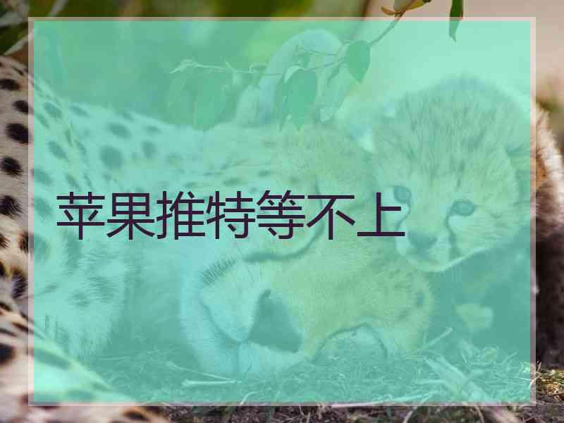 苹果推特等不上