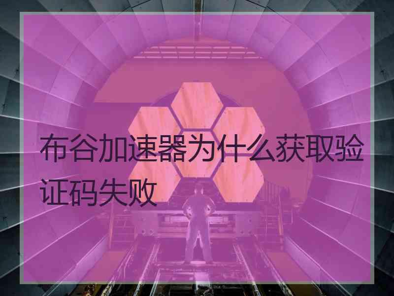 布谷加速器为什么获取验证码失败
