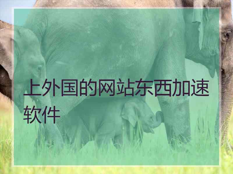 上外国的网站东西加速软件