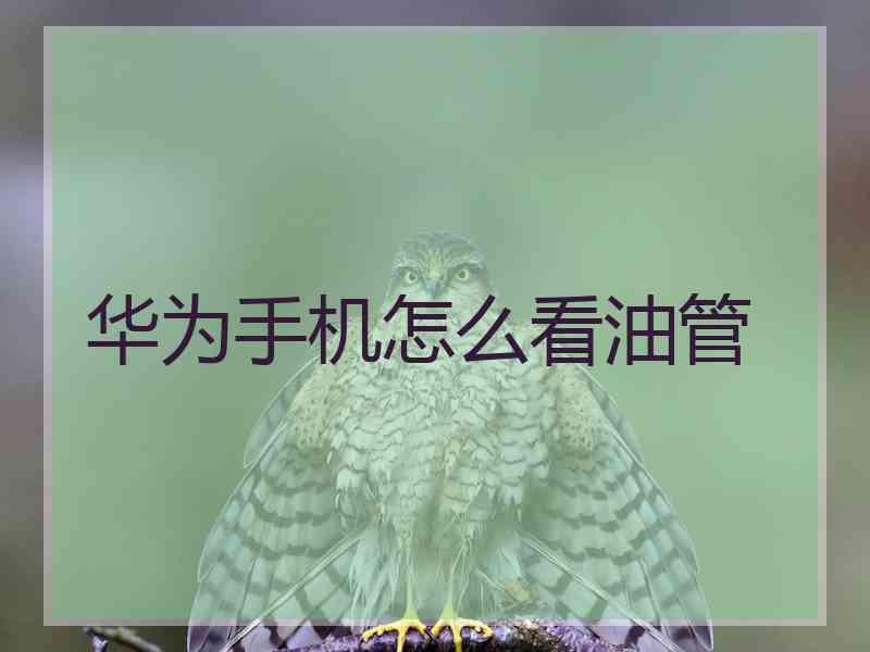 华为手机怎么看油管