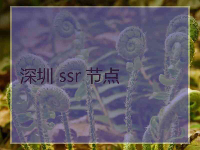 深圳 ssr 节点