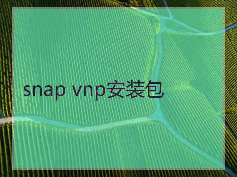snap vnp安装包