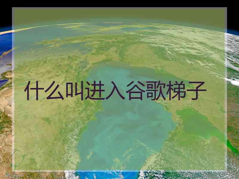 什么叫进入谷歌梯子