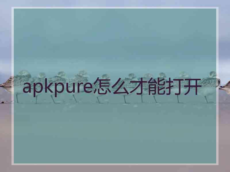 apkpure怎么才能打开