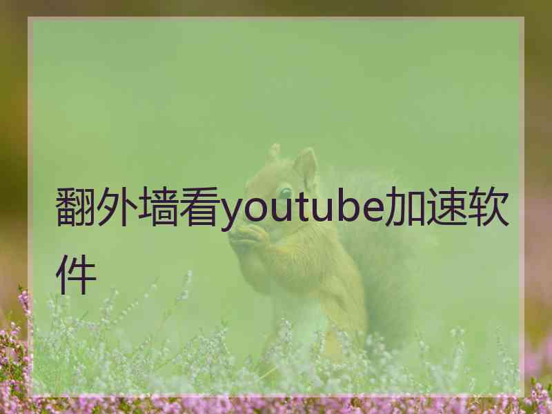 翻外墙看youtube加速软件