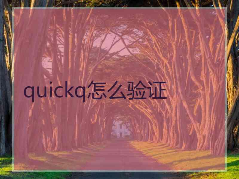 quickq怎么验证