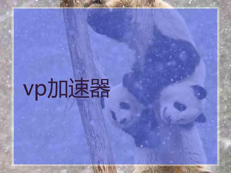 vp加速器