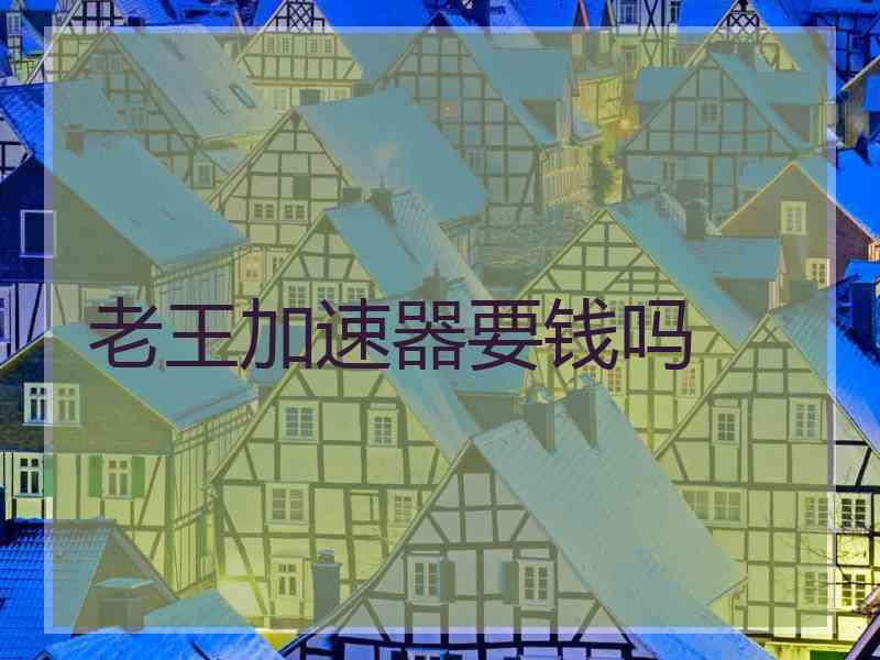 老王加速器要钱吗