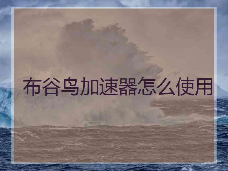 布谷鸟加速器怎么使用