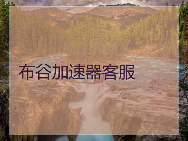 布谷加速器客服