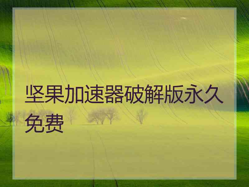 坚果加速器破解版永久免费