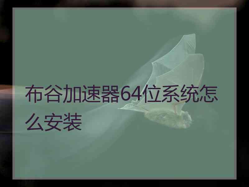 布谷加速器64位系统怎么安装