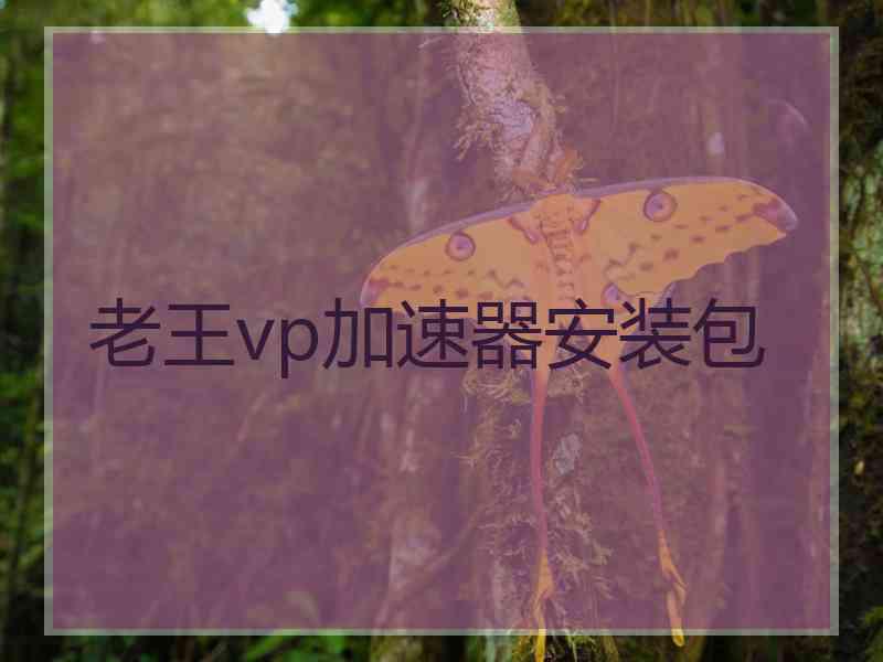 老王vp加速器安装包