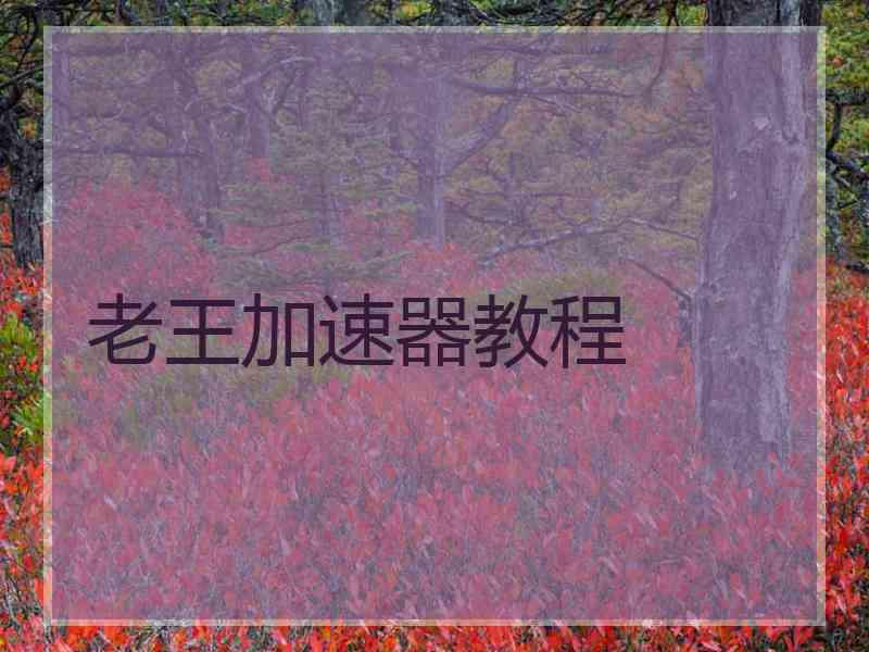 老王加速器教程