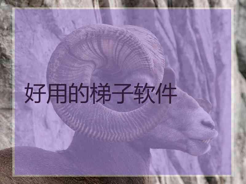 好用的梯子软件