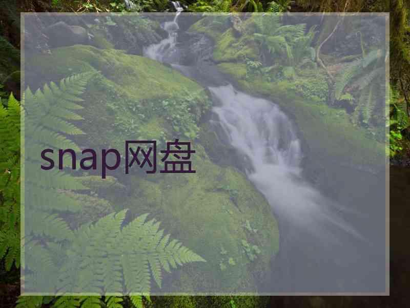 snap网盘