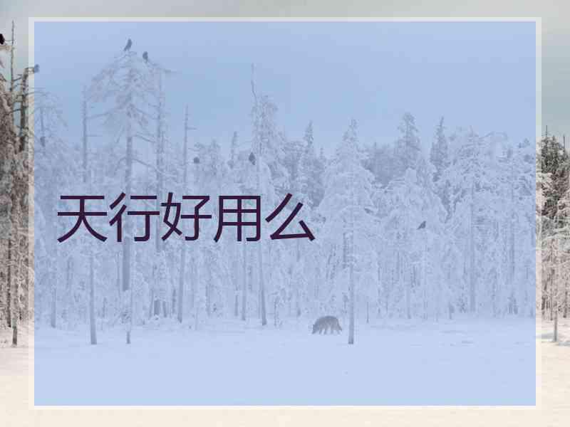 天行好用么
