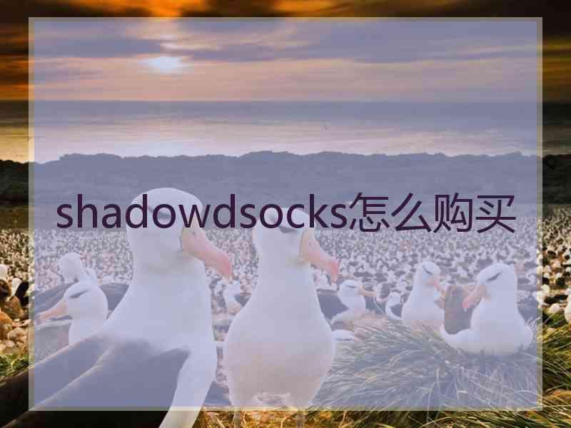 shadowdsocks怎么购买