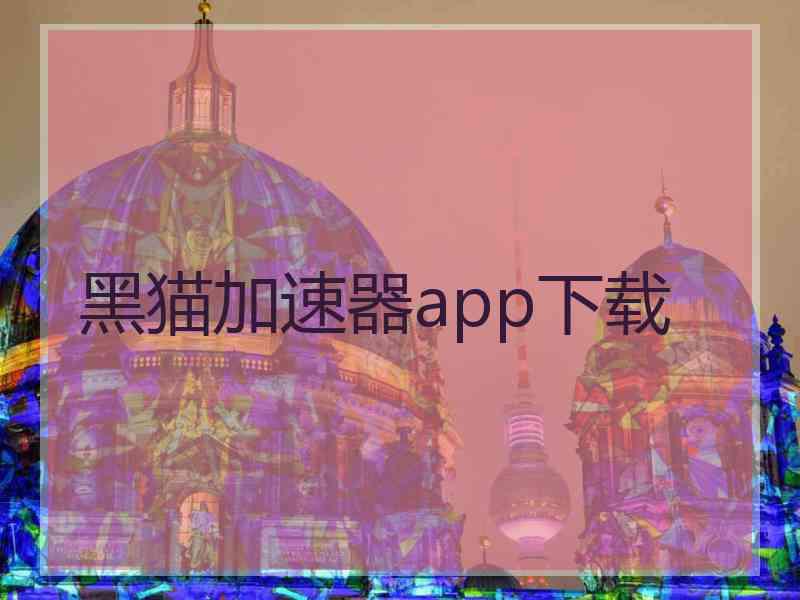 黑猫加速器app下载