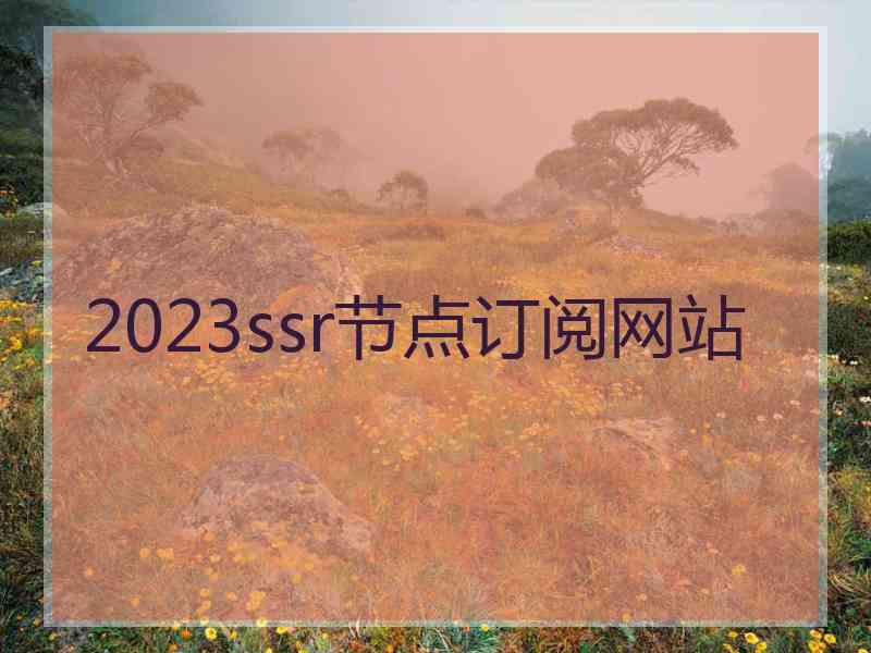 2023ssr节点订阅网站